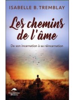 Les chemins de l'âme - De son incarnation à sa réincarnation