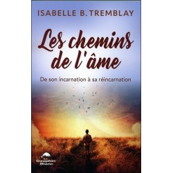 Les chemins de l'âme - De son incarnation à sa réincarnation