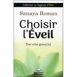 Choisir l'éveil - Etre votre grand Soi