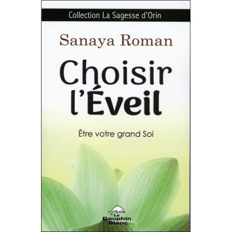 Choisir l'éveil - Etre votre grand Soi