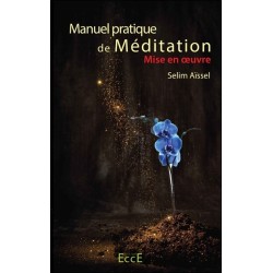 Manuel pratique de Méditation - Mise en oeuvre