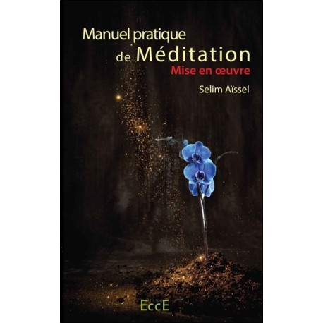 Manuel pratique de Méditation - Mise en oeuvre