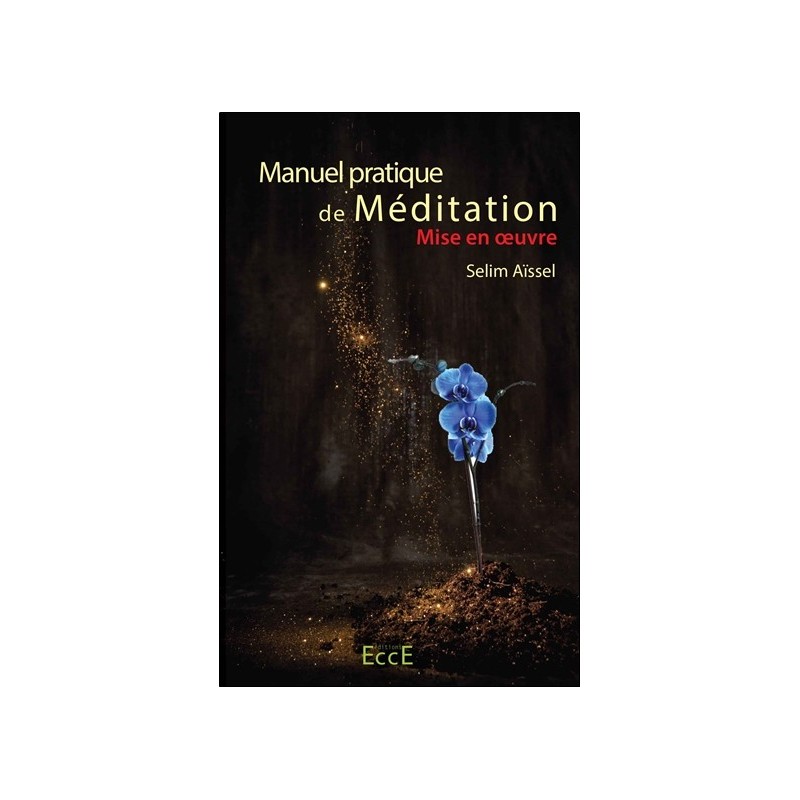 Manuel pratique de Méditation - Mise en oeuvre