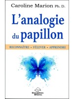 L'analogie du papillon - Reconnaître - S'élever - Apprendre