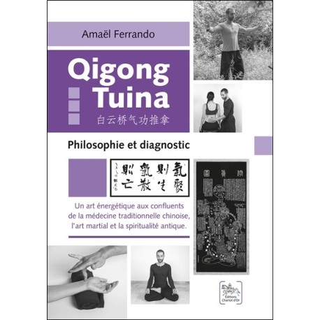 Qigong Tuina Tome 3 - Philosophie et diagnostic