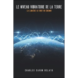 Le niveau vibratoire de la Terre - La lumière au bout du chemin