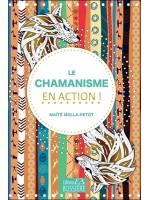 Le Chamanisme en action