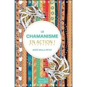 Le Chamanisme en action