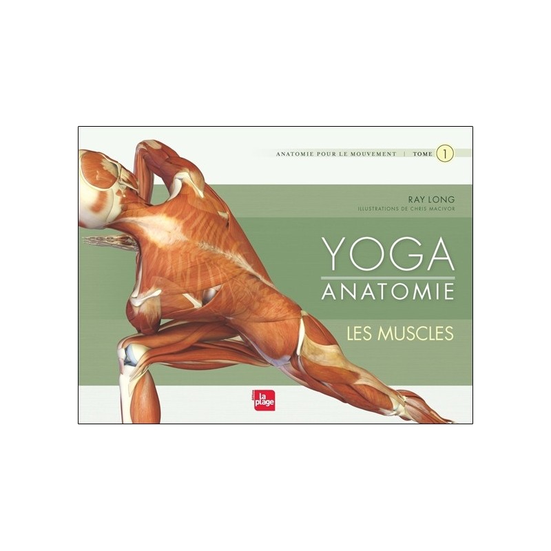 Yoga anatomie - Les muscles T1 