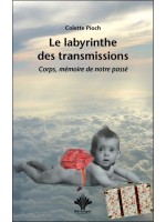 Le labyrinthe des transmissions - Corps, mémoire de notre passé 