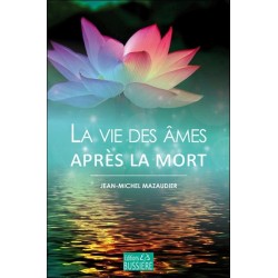 La vie des âmes après la mort 