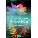 La vie des âmes après la mort 