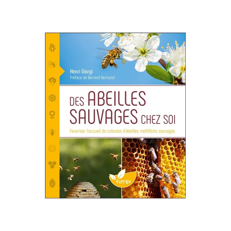 Des abeilles sauvages chez soi - Favoriser l'accueil de colonies d'abeilles mellifères sauvages 