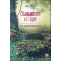 Chamanisme celtique - Transmission de nos terres 