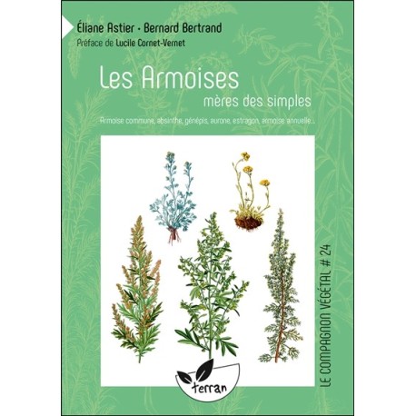 Les Armoises, mères des simples - Armoise commune, absinthe, génépis, aurone, estragon, armoise annuelle... Numéro 24 