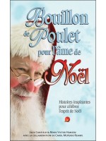 Bouillon de poulet pour l'âme de Noël - Histoires inspirantes pour célébrer l'esprit de Noël 