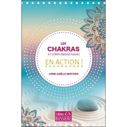 Les chakras et corps énergétiques en action !