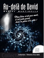 Au-delà de David - Mon frère n'est pas mort, il est juste passé dans la pièce d'à côté ! 