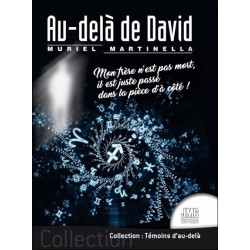 Au-delà de David - Mon frère n'est pas mort, il est juste passé dans la pièce d'à côté !