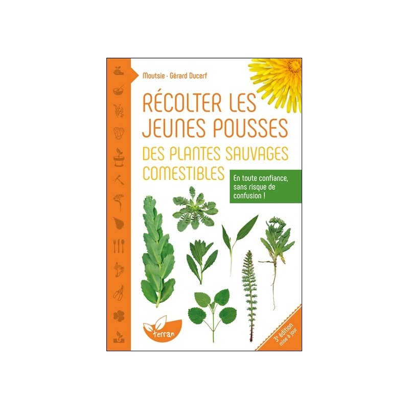 Récolter les jeunes pousses des plantes sauvages comestibles - En toute confiance, sans risque de confusion ! 