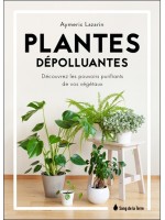 Plantes dépolluantes - Découvrez les pouvoirs purifiants de vos végétaux 