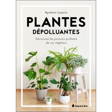 Plantes dépolluantes - Découvrez les pouvoirs purifiants de vos végétaux 