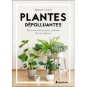 Plantes dépolluantes - Découvrez les pouvoirs purifiants de vos végétaux 