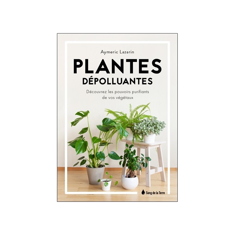 Plantes dépolluantes - Découvrez les pouvoirs purifiants de vos végétaux 