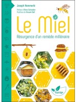 Le miel - Résurgence d'un remède millénaire 