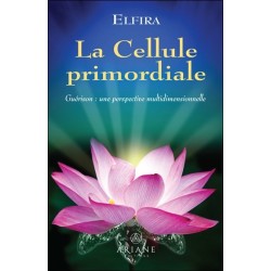 La Cellule primordiale - Guérison : une perspective multidimensionnelle 