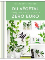 Du végétal dans ma maison pour zéro euro 