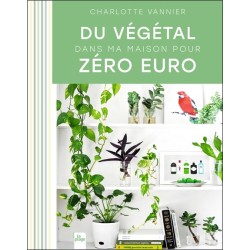 Du végétal dans ma maison pour zéro euro 