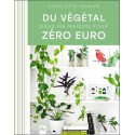 Du végétal dans ma maison pour zéro euro 