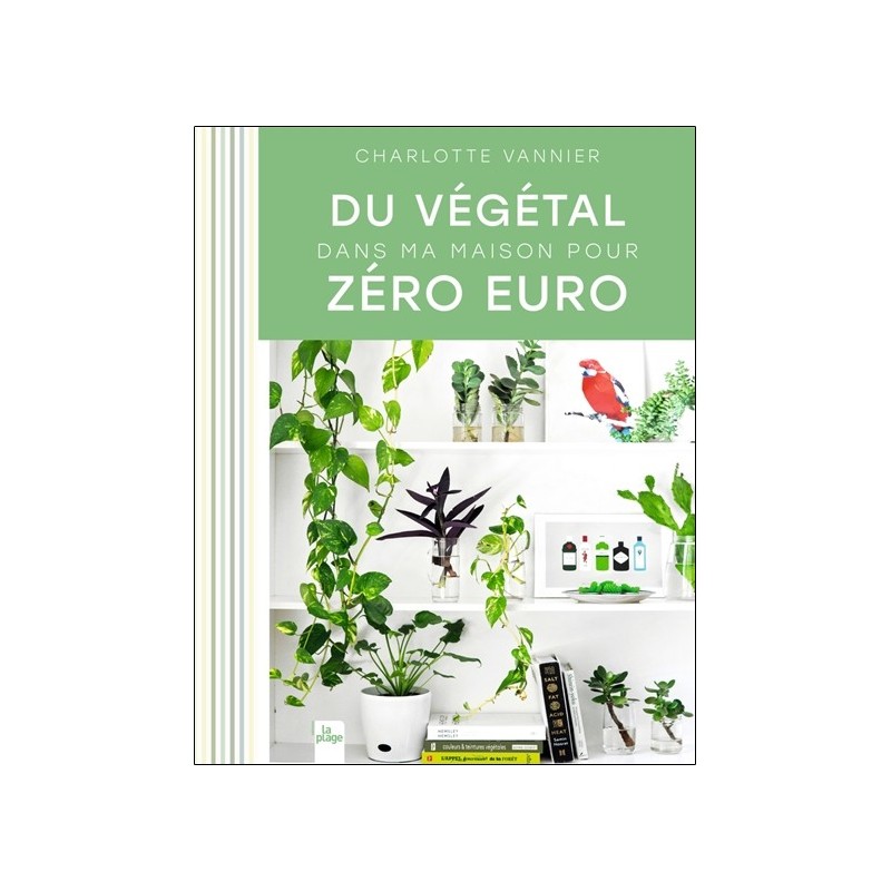 Du végétal dans ma maison pour zéro euro 