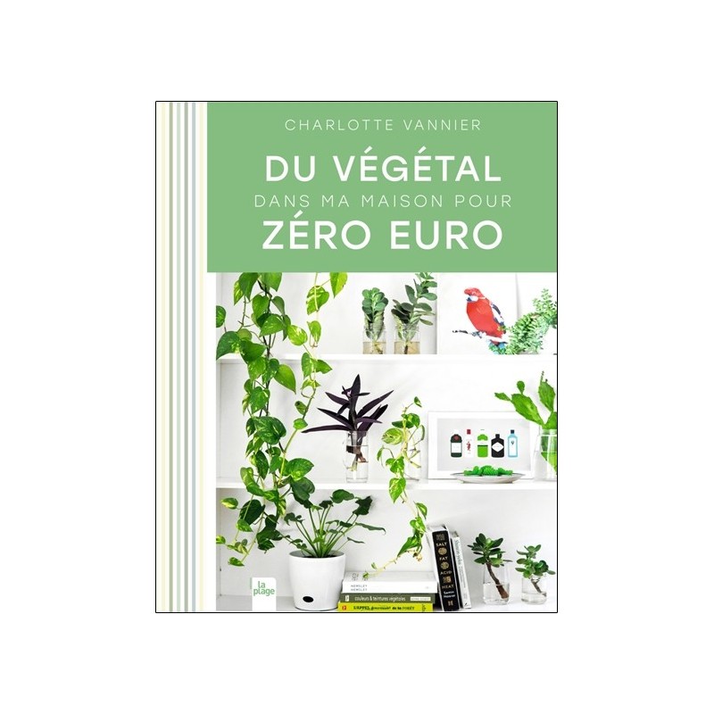 Du végétal dans ma maison pour zéro euro 